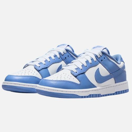 Nike Dunk Low Retro Polar Blue